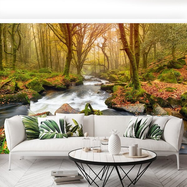 Fototapeta Vliesová Lesná rieka 104x70 cm