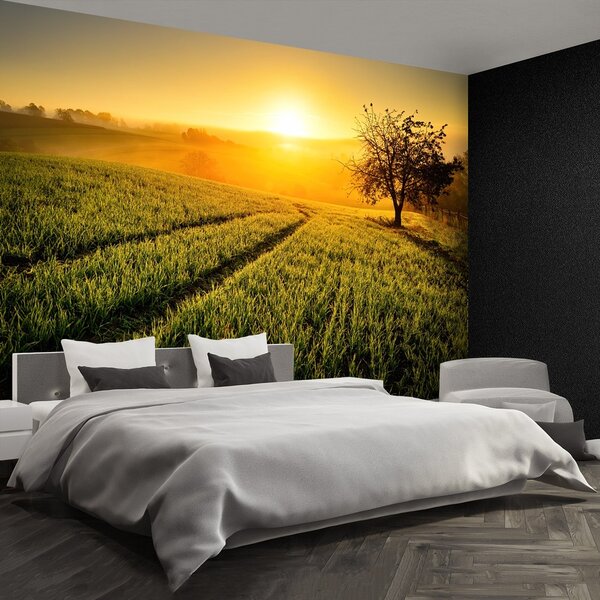 Fototapeta Vliesová Kopec stromy 104x70 cm