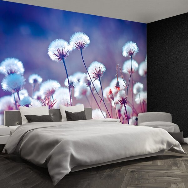 Fototapeta Vliesová Lúčne kvety 152x104 cm