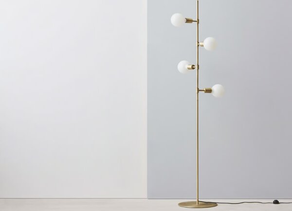 Piper lampa