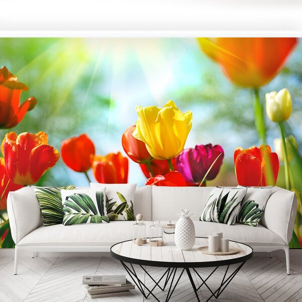 Fototapeta Vliesová Kvety tulipánov 104x70 cm