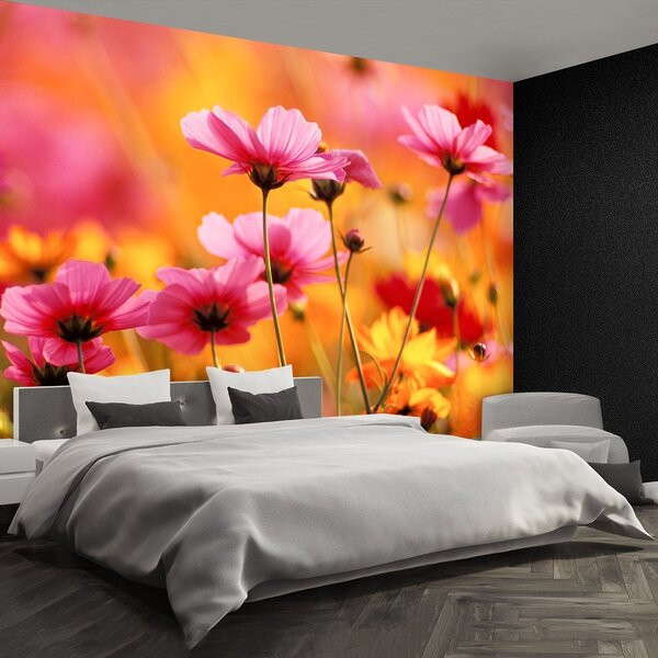 Fototapeta Vliesová Záhrada vesmír 104x70 cm