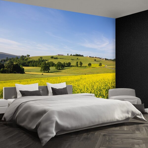 Fototapeta Vliesová Kvitnúce šošovka 104x70 cm