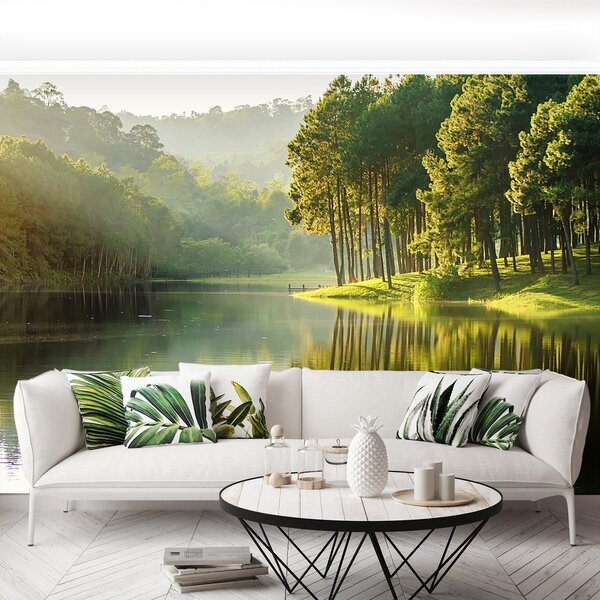 Fototapeta Vliesová Borovica 104x70 cm