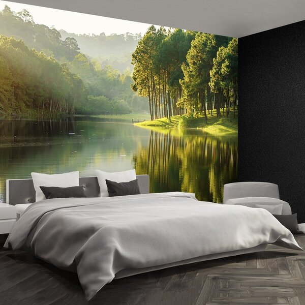 Fototapeta Vliesová Borovica 104x70 cm