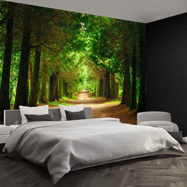 Fototapeta Vliesová Chodník stromy 104x70 cm