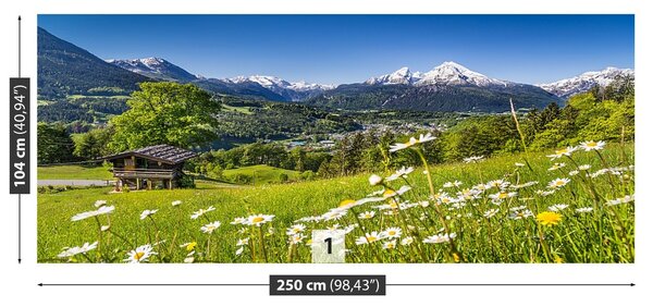 Fototapeta Vliesová Bavorsko hory 250x104 cm
