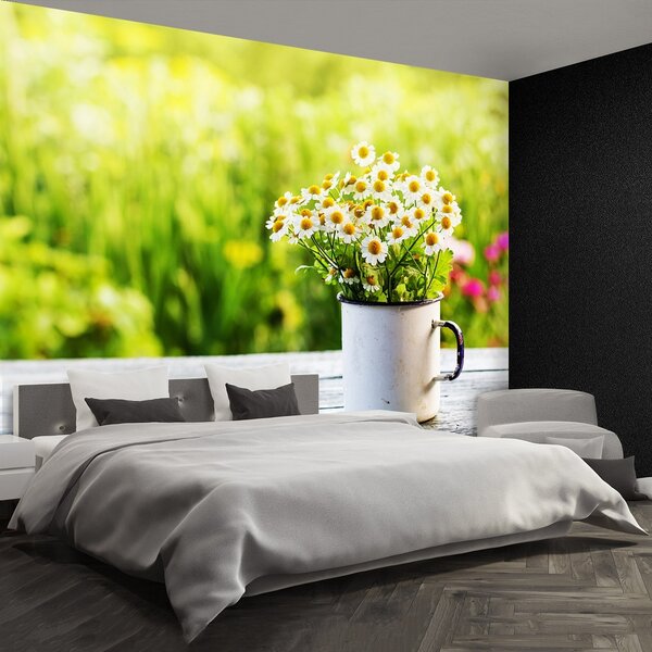 Fototapeta Vliesová Kvety sedmokrásky 250x104 cm