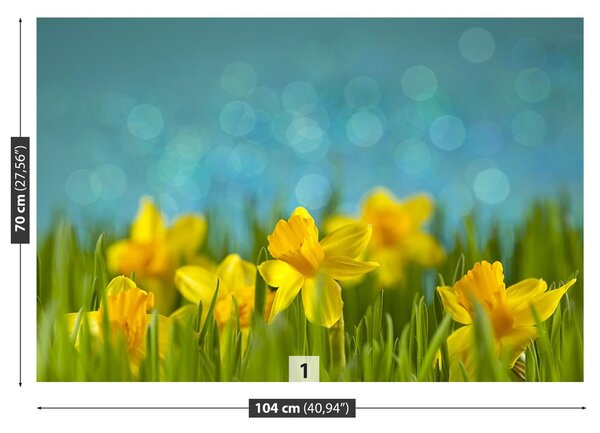 Fototapeta Vliesová Narcisy 104x70 cm