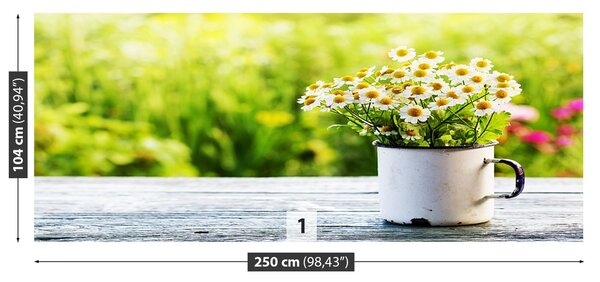 Fototapeta Vliesová Kvety sedmokrásky 250x104 cm