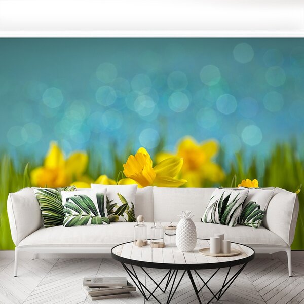 Fototapeta Vliesová Narcisy 104x70 cm
