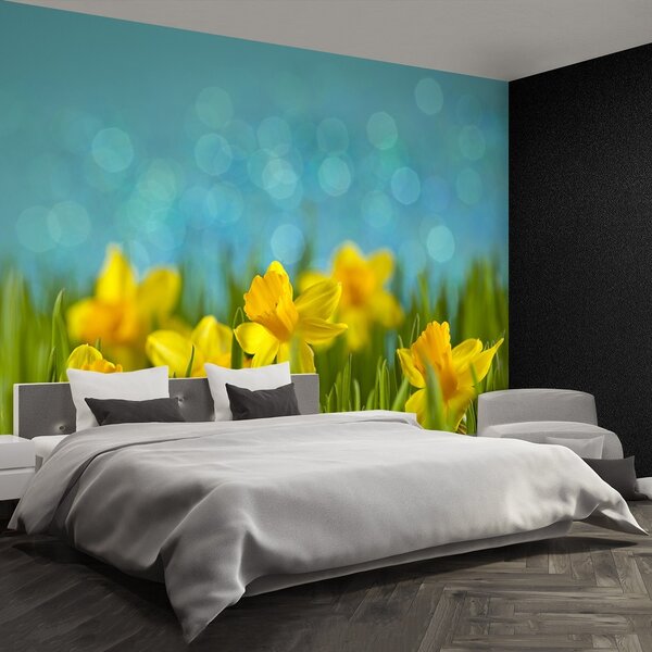 Fototapeta Vliesová Narcisy 104x70 cm