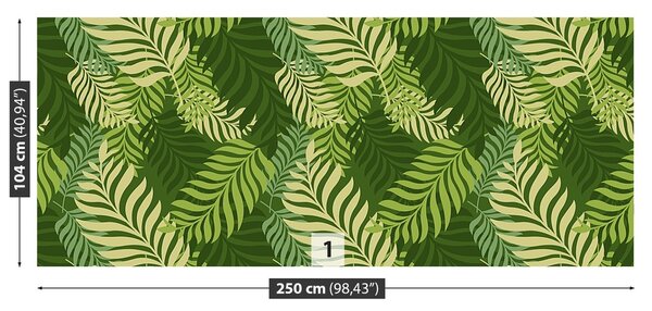 Fototapeta Vliesová Palmové listy 250x104 cm