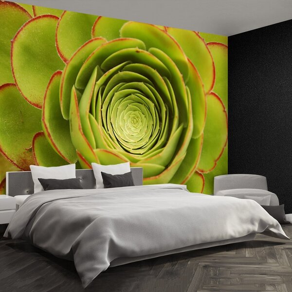 Fototapeta Vliesová Zelený kvet 152x104 cm