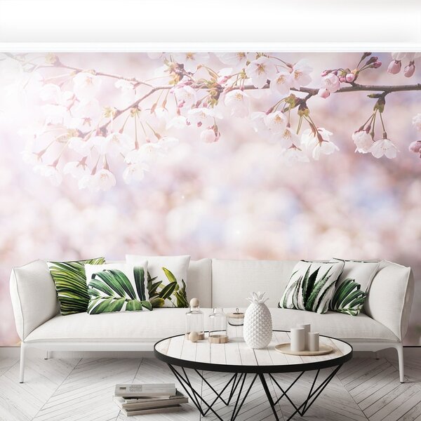Fototapeta Vliesová Višňové púčiky 152x104 cm