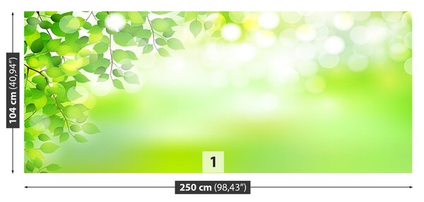 Fototapeta Vliesová Zelené listy 250x104 cm