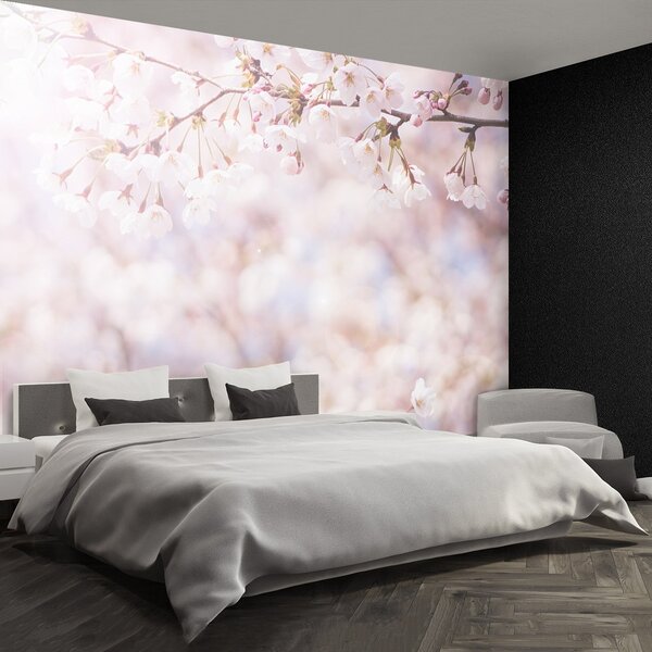 Fototapeta Vliesová Višňové púčiky 152x104 cm