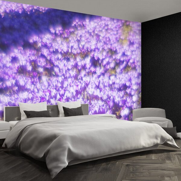 Fototapeta Vliesová Fialové kvety 250x104 cm
