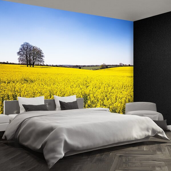 Fototapeta Vliesová Pole repka 152x104 cm