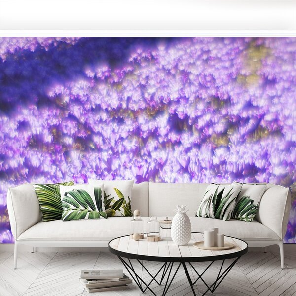 Fototapeta Vliesová Fialové kvety 250x104 cm