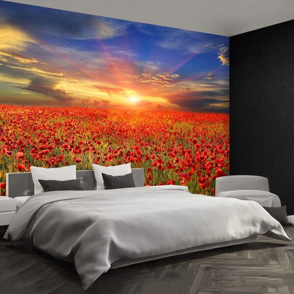 Fototapeta Vliesová Pole mak 104x70 cm