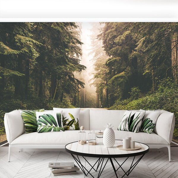 Fototapeta Vliesová Chodník mhla 104x70 cm