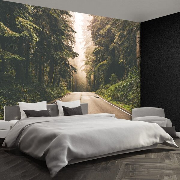 Fototapeta Vliesová Chodník mhla 104x70 cm