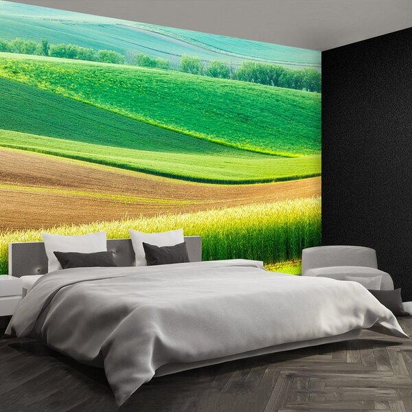 Fototapeta Vliesová Vidieckej krajiny 250x104 cm