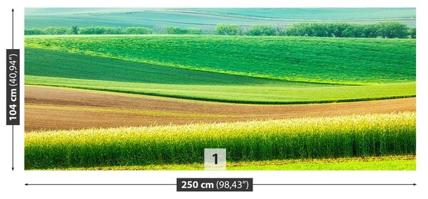 Fototapeta Vliesová Vidieckej krajiny 250x104 cm