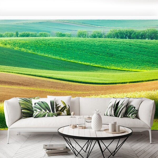 Fototapeta Vliesová Vidieckej krajiny 250x104 cm