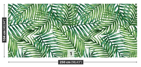 Fototapeta Vliesová Palmové listy 250x104 cm
