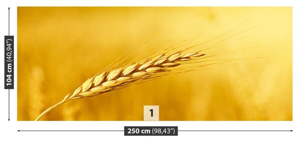 Fototapeta Vliesová Klas pšenice 250x104 cm