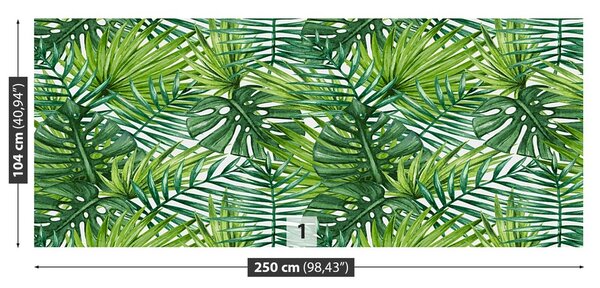 Fototapeta Vliesová Palmové listy 250x104 cm