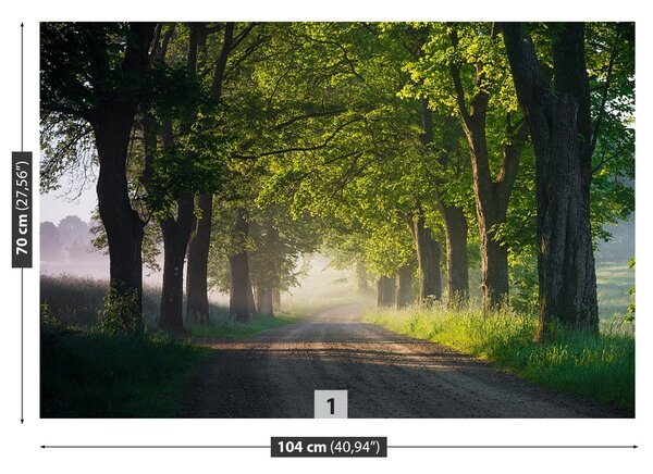Fototapeta Vliesová Alej stromov 104x70 cm