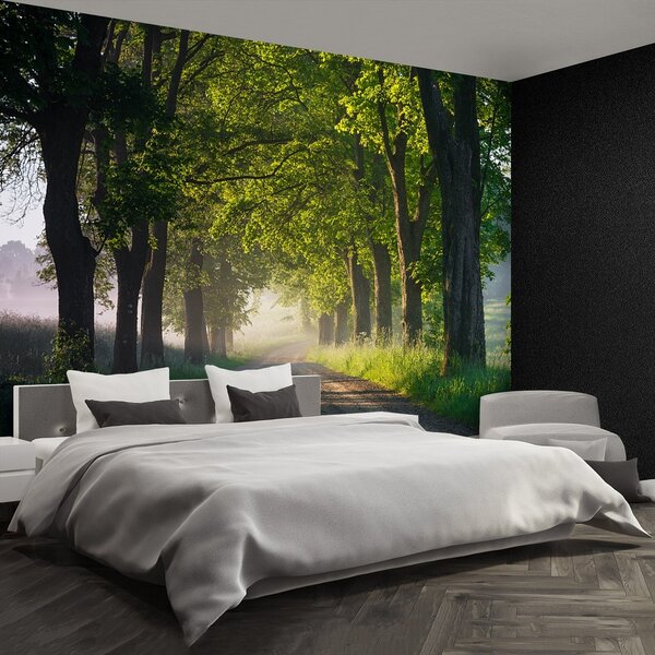 Fototapeta Vliesová Alej stromov 104x70 cm