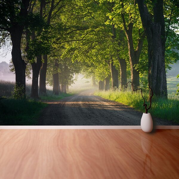 Fototapeta Vliesová Alej stromov 104x70 cm