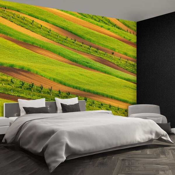Fototapeta Vliesová Lány polí 152x104 cm