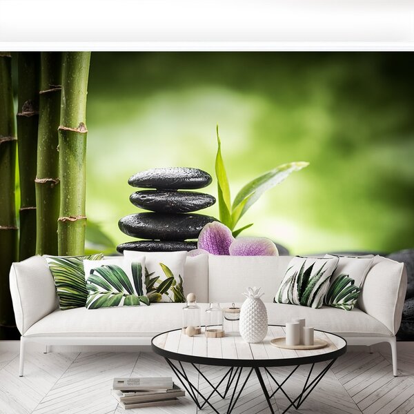 Fototapeta Vliesová Orchidea zen 104x70 cm