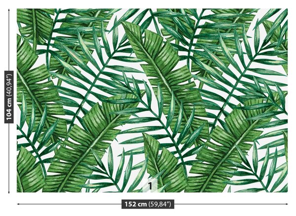 Fototapeta Vliesová Palmové listy 152x104 cm