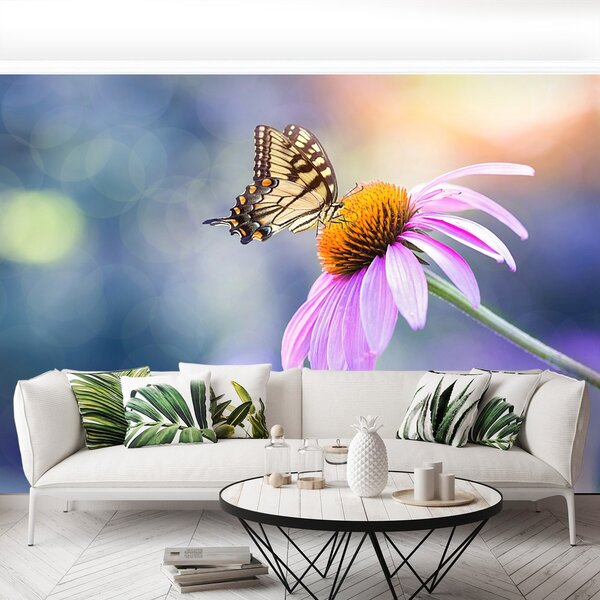 Fototapeta Vliesová Echinacea butterfly 152x104 cm