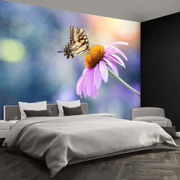 Fototapeta Vliesová Echinacea butterfly 152x104 cm