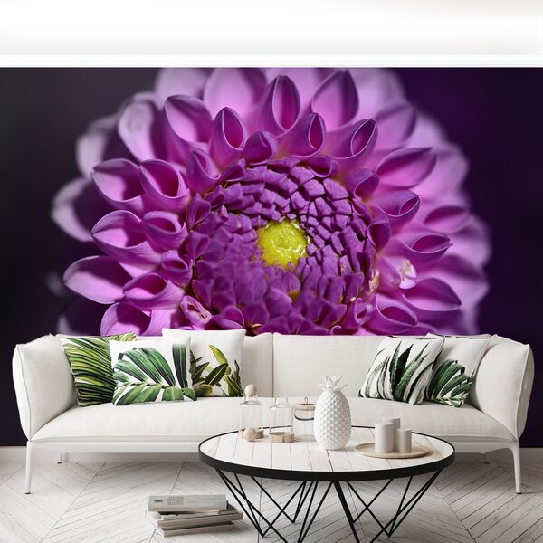 Fototapeta Vliesová Dahlia ružová 250x104 cm