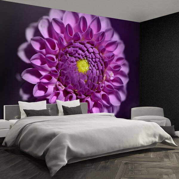 Fototapeta Vliesová Dahlia ružová 250x104 cm