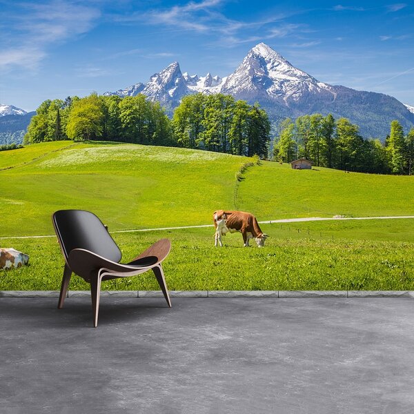Fototapeta Vliesová Kravy alpy 152x104 cm