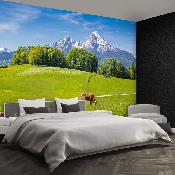 Fototapeta Vliesová Kravy alpy 152x104 cm