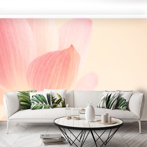 Fototapeta Vliesová Ružový lotos 250x104 cm