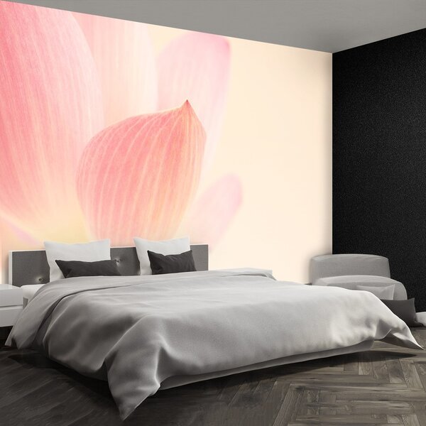 Fototapeta Vliesová Ružový lotos 250x104 cm