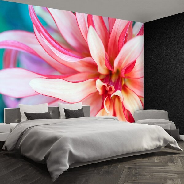 Fototapeta Vliesová Exotická kvetina 104x70 cm