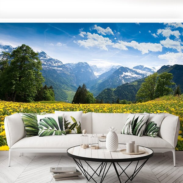 Fototapeta Vliesová Mliečia hory 250x104 cm