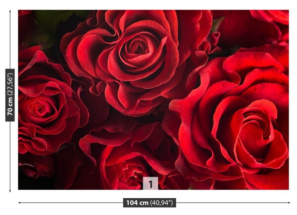Fototapeta Vliesová Červené ruže 104x70 cm